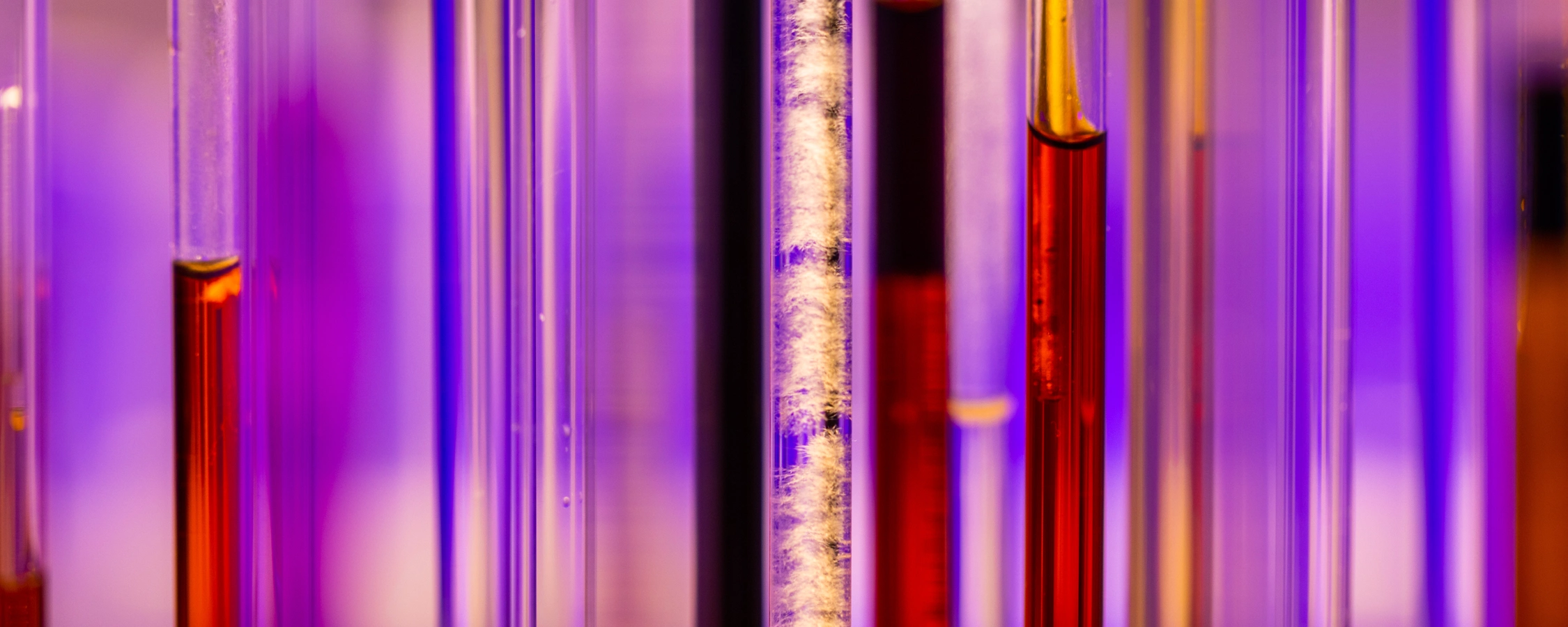 Close up image of liquid solutions in the lab