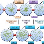 A graphic from Dadmun's ChemSusChem publication depicting general PET depolymerization.